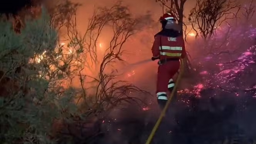 Tây Ban Nha sơ tán 1.400 người vì cháy rừng